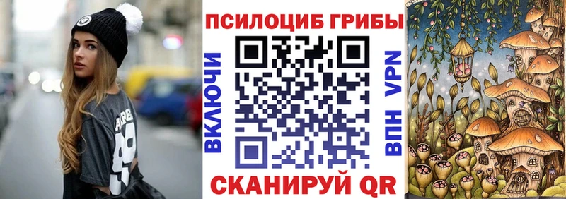 Псилоцибиновые грибы Cubensis  где найти   Таштагол 