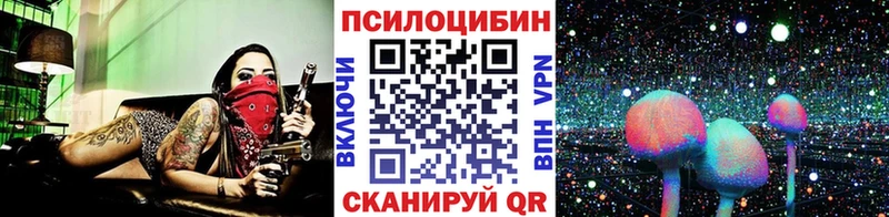 Псилоцибиновые грибы Magic Shrooms Таштагол